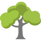 New Berlin Tree Removal Service