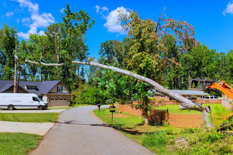 Cost of Fallen Tree Removal in New Berlin, WI