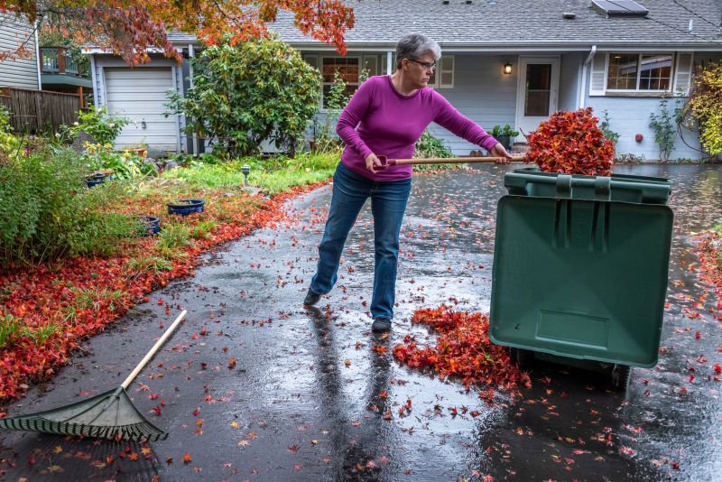 Neighborhood Leaf Cleanup