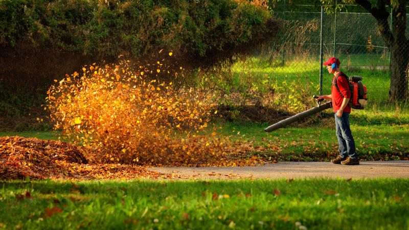 Leaf Blowing Along Driveways