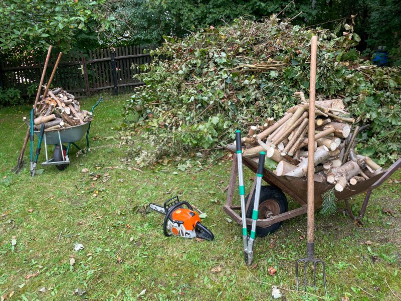 Site Cleanup After Removal